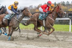 20251102-141339-DSC9267