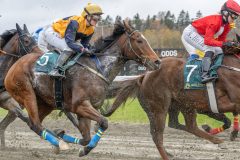 20251102-141339-DSC9268