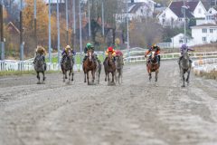 20251102-141442-DSC_9184