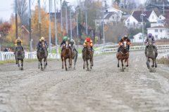 20251102-141444-DSC_9218