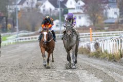 20251102-141447-DSC_9253