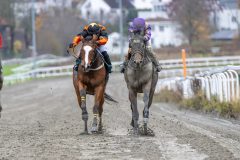 20251102-141447-DSC_9261