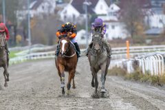 20251102-141447-DSC_9262