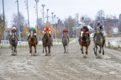 20251102-141449-DSC_9276