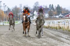 20251102-141449-DSC_9291