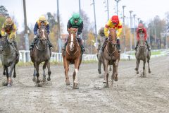 20251102-141450-DSC_9304