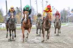 20251102-141451-DSC_9313