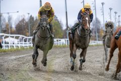 20251102-141452-DSC_9331