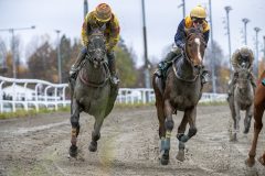 20251102-141452-DSC_9332