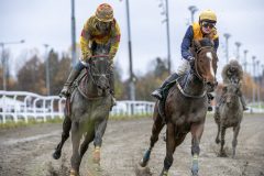 20251102-141452-DSC_9336