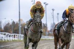 20251102-141452-DSC_9341