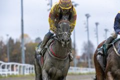 20251102-141452-DSC_9342