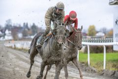 20251102-141454-DSC_9355