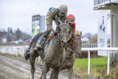 20251102-141454-DSC_9357