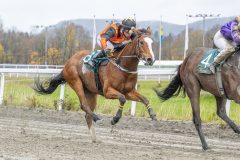 20251102-141506-DSC9285