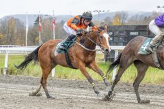 20251102-141506-DSC9286