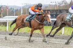 20251102-141506-DSC9287