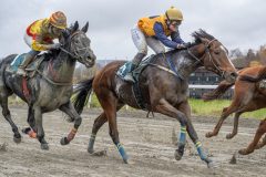 20251102-141507-DSC9288