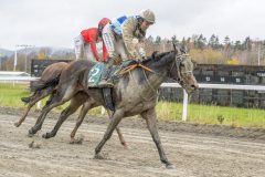 20251102-141509-DSC9292