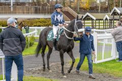 20251102-142909-DSC9362