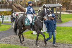 20251102-142910-DSC9367