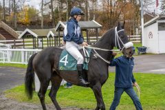 20251102-142911-DSC9374