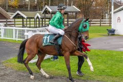 20251102-143010-DSC9387