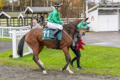 20251102-143011-DSC9390