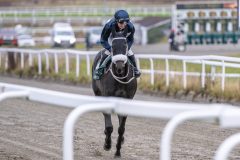 20251102-143021-DSC_9376