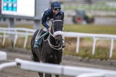 20251102-143022-DSC_9385