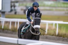 20251102-143023-DSC_9392