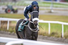 20251102-143023-DSC_9397