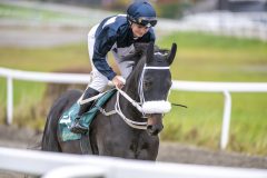 20251102-143024-DSC_9404