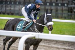 20251102-143025-DSC_9408