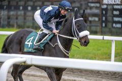 20251102-143025-DSC_9410