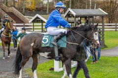 20251102-143045-DSC9413