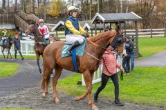 20251102-143057-DSC9433