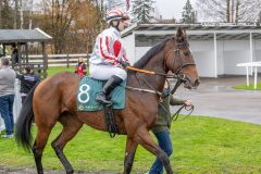 20251102-143102-DSC9447