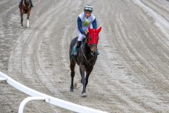 20251102-143109-DSC_9464