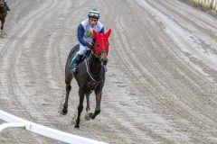 20251102-143110-DSC_9467