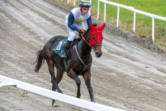 20251102-143111-DSC_9473