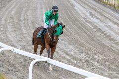 20251102-143114-DSC_9509