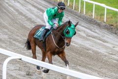 20251102-143115-DSC_9526