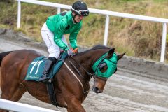 20251102-143115-DSC_9533