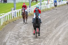 20251102-143121-DSC_9549