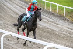 20251102-143126-DSC_9582