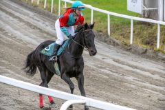 20251102-143126-DSC_9586