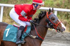 20251102-143131-DSC_9634