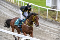 20251102-143151-DSC_9726