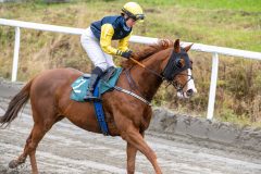 20251102-143153-DSC_9753